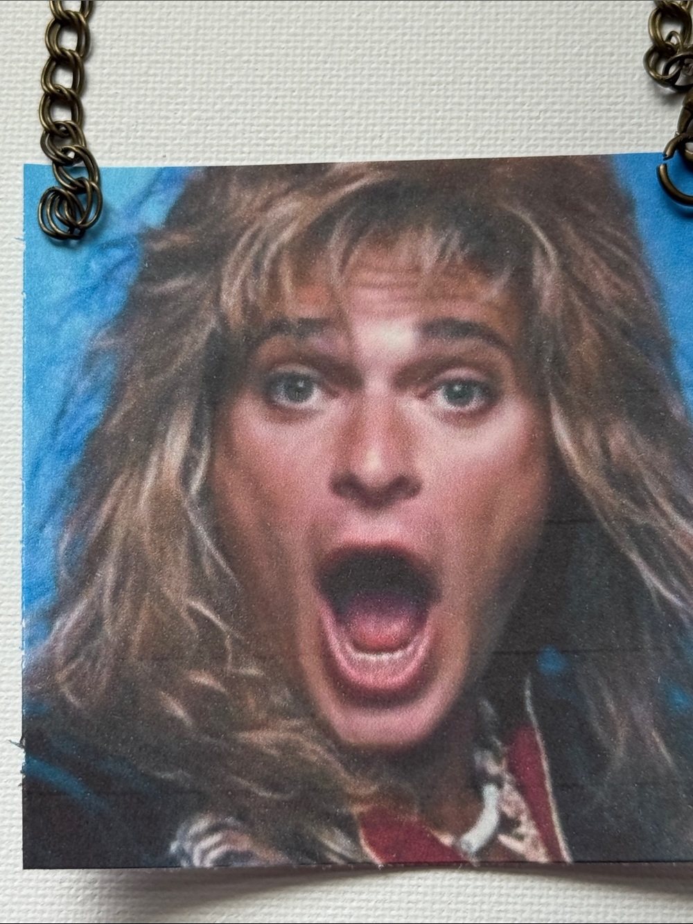 David Lee Roth Ornament - Picture 3 of 3